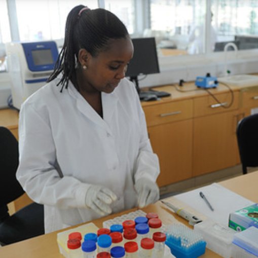 WHO African Region tweet media