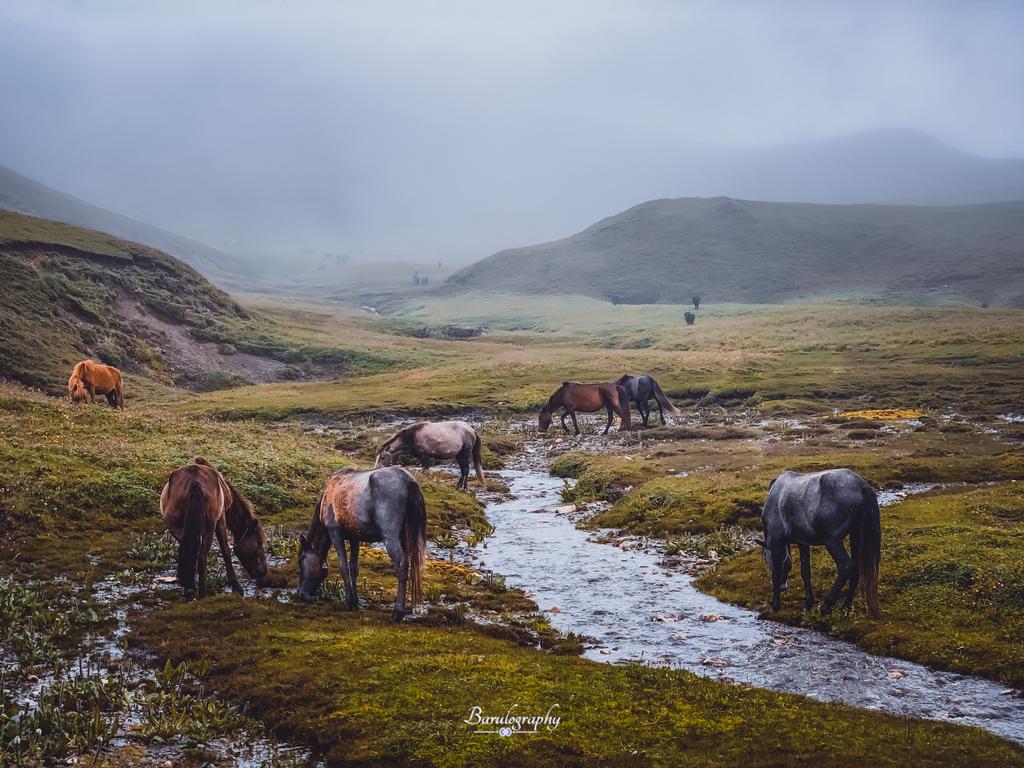 Santosh Basyal tweet media