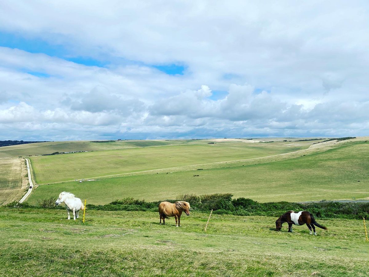 Beachy Head, East Sussex.According to researchers, more than 500 people have died at Beachy Head since 1965. It’s one of the most notorious suicide spots in the world. #staycation  #uktour  #britishtour  #ukstaycation  #summer  #britishsummer  #uksummer  #eastsussex 