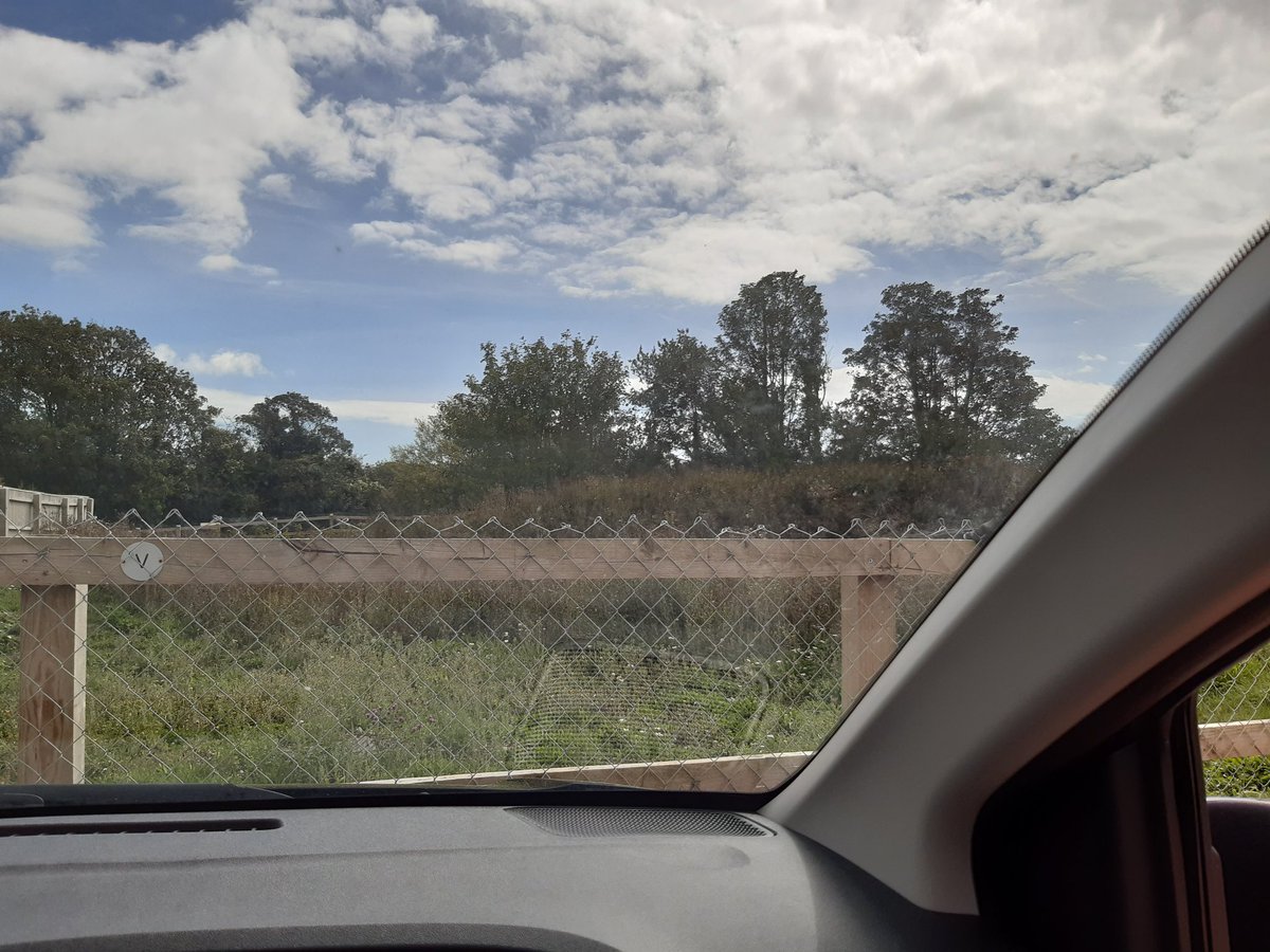 kirsty_mcleod2's tweet photo. When the ☀️ out what better way to spend the day than taking @RachelMcGinley2 on a mini site tour. Like a #proudmum showing off #malthousemeadow #firstsite #MagnaBuilds #TeamMagna https://t.co/KI3wv0ZCx3