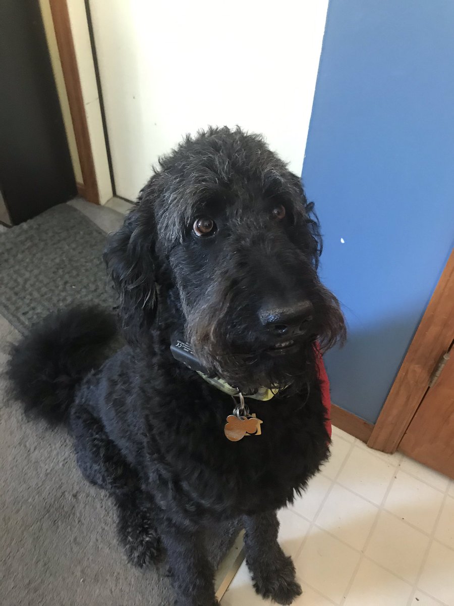 Michelle Faw tweet media