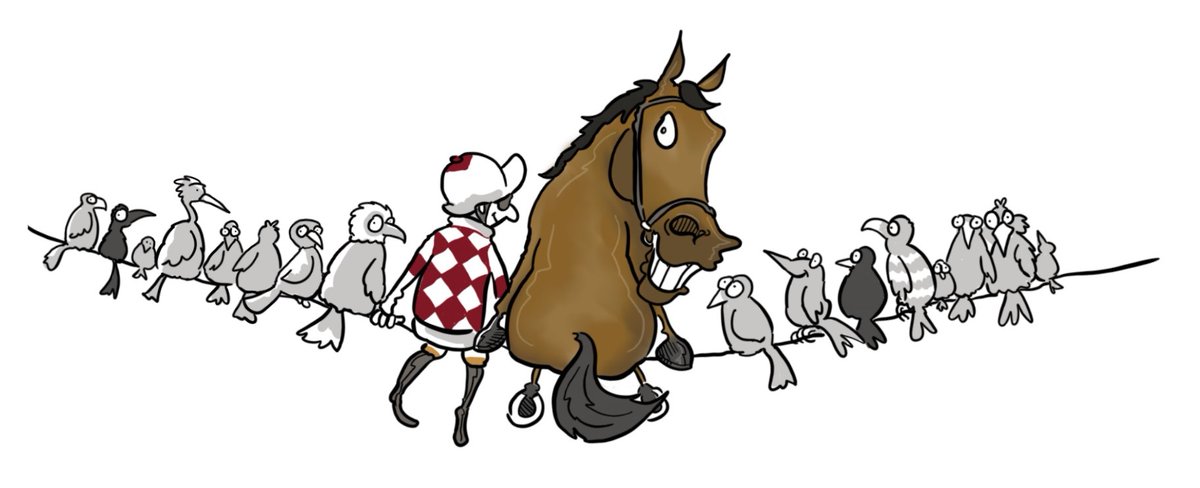 Birdie Racing Club tweet media