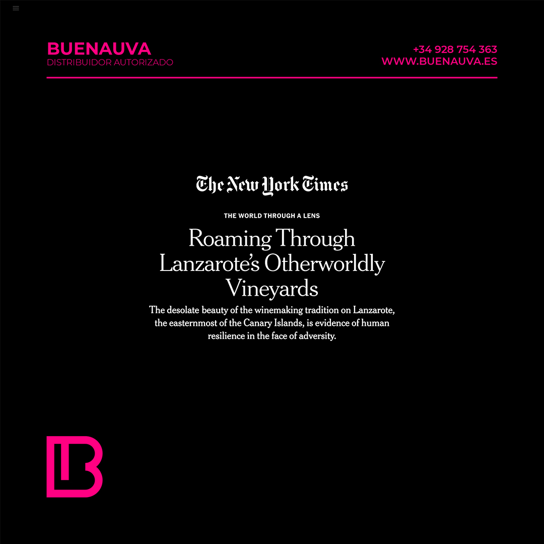 Puro Rofe Viñateros y Taro Vinícola en el articulo de New York Times dedicado a la isla de Lanzarote y a su singular viticultura.
•
Sus últimas añadas andan disponibles en nuestro catálogo.
•
¡Enhorabuena chicos!
•
nytimes.com/2020/08/24/tra…
•
#TaroVinícola #PuroRofe #BuenaUva