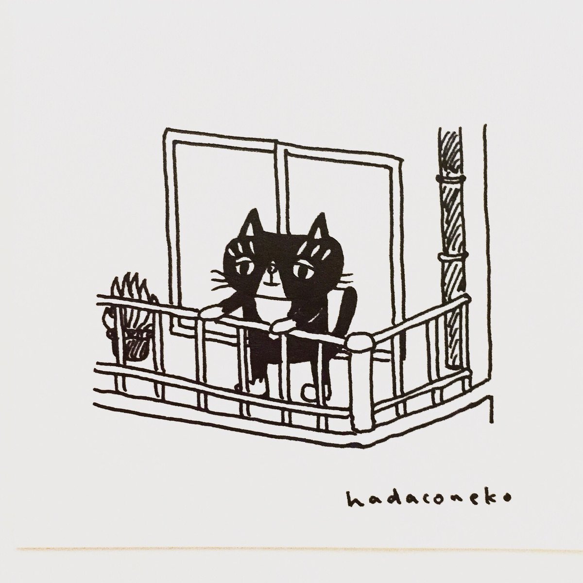 50 白黒 猫 ハチワレ イラスト ただの無料イラスト