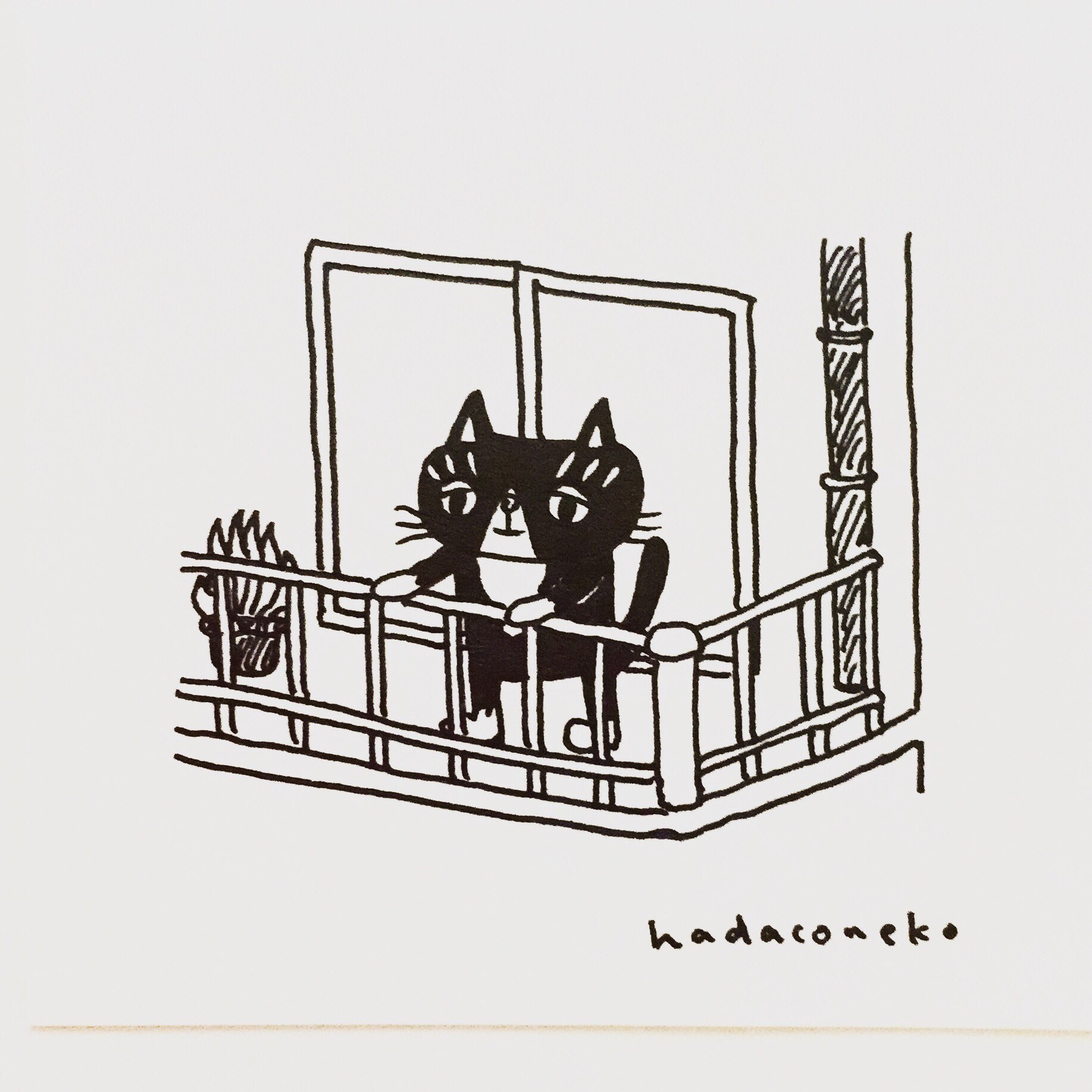 肌子 今日のイラストはコレ ｪ ベランダで風にあたってる猫 イラスト 猫 ネコ ねこ オリジナル ペン画 アナログ画 絵 猫の絵 白黒猫 ハチワレ猫 T Co 4pqijs8eku Twitter