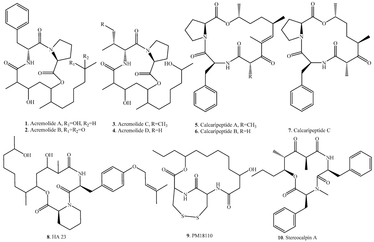 Molecules_MDPI's tweet photo. #HighlyCitedPaper #HighlyAccessedPaper
Structural Diversity and Biological Activities of Cyclic Depsipeptides from #Fungi
By Ligang Zhou, et al.
👉https://t.co/IQsS12120m
#cyclodepsipeptides
#biologicalactivities
#occurrence
#applications https://t.co/CVo9EpND4u
