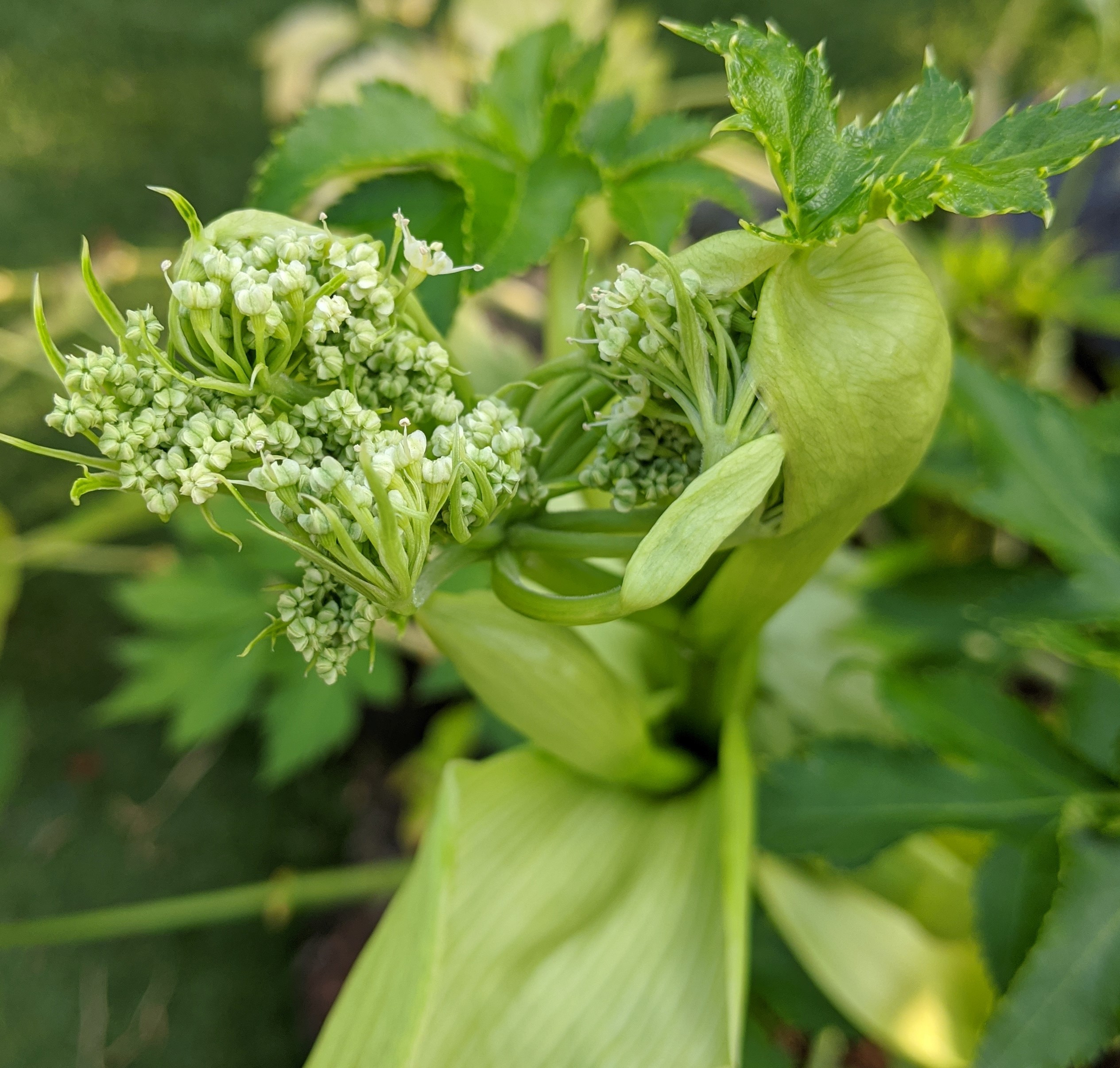 飯山隆幸 Takayukiiiyama Twitter