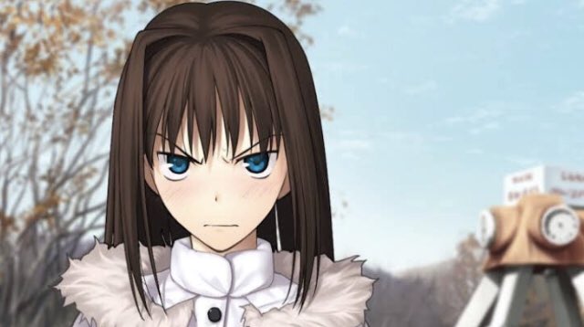 Rekkusu V Twitter 遠野秋葉様や黒桐鮮花ﾁｬﾝ 遠坂凛などの 特殊な血統を継ぐヒロイン のアーキタイプは 姉妹喧嘩は自然災害でおなじみの 蒼崎青子 さんです