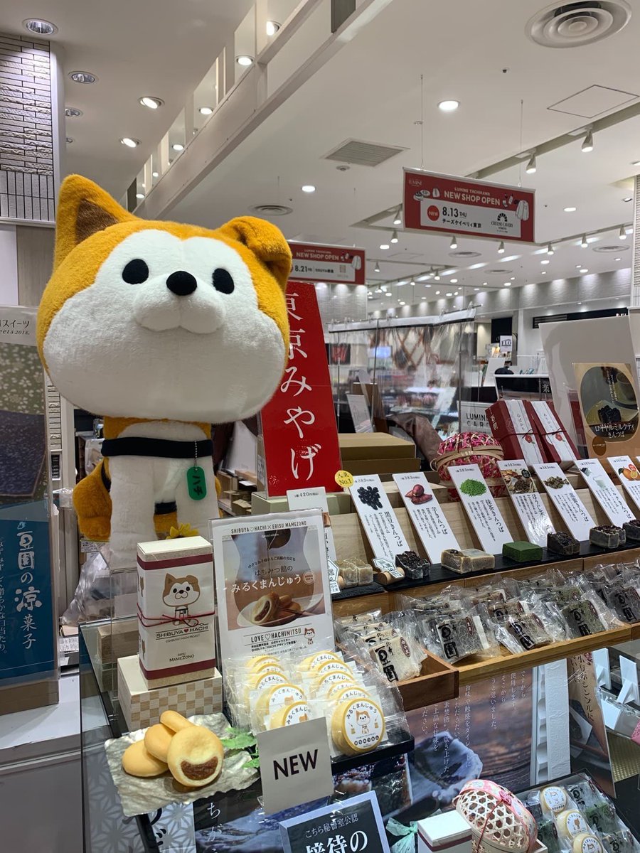 Shibuya Hachi ハチです 実はね 恵比寿 豆園さんで販売してるみるくまんじゅうがshibuya Hachiのパッケージで売られてるの そのご紹介の為にルミネ立川店に遊びに来てるよ Shibuhachi シブハチ ラブハチ 秋田犬 Akitadog 犬 Hachiko 渋谷