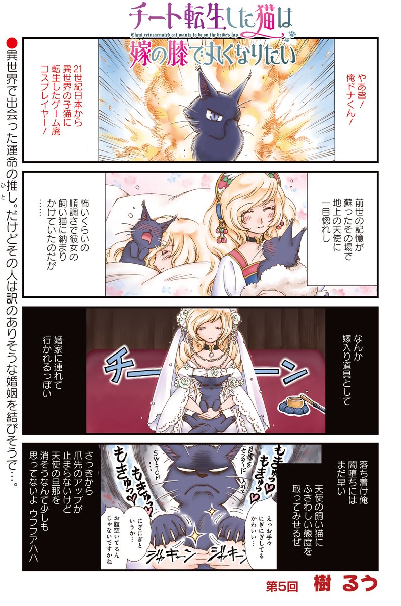 樹るう先生「チート転生した猫は嫁の膝で丸くなりたい」
異世界に転生して猫になってしまったドナは、拾ってくれた姫(前世からの推し)が嫁入りするということを知り、かなりのショックを受けるが……。
#まんがライフ #本日発売 