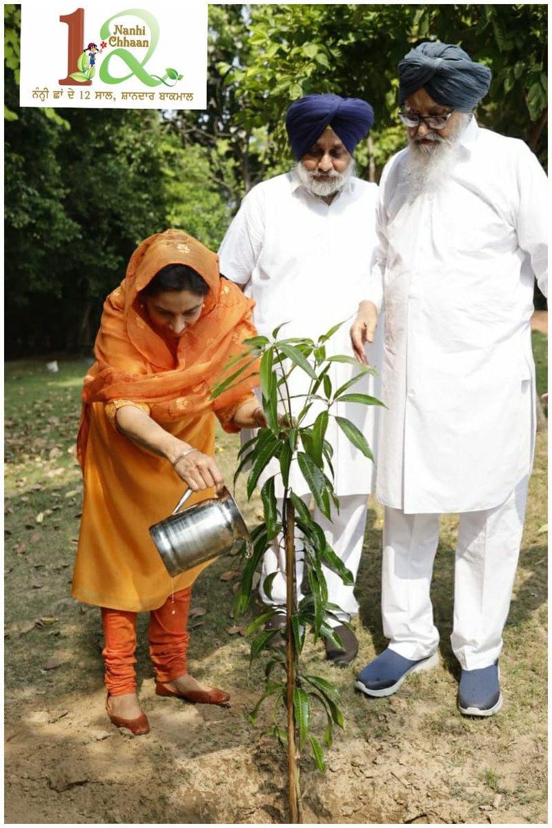 HarsimratBadal_'s tweet photo. Planting trees &amp; saving Mother Nature is on going in the form of “Boota Prasad” but much more needs to be done to plant more trees &amp; ensure they grow.

#NanhiChhaan12
#NanhiChhaanTurns12 https://t.co/HuLMfs70ou