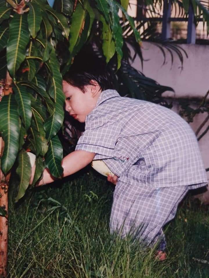 baby tiger edisi baju kotak2 kaya pendukung presiden