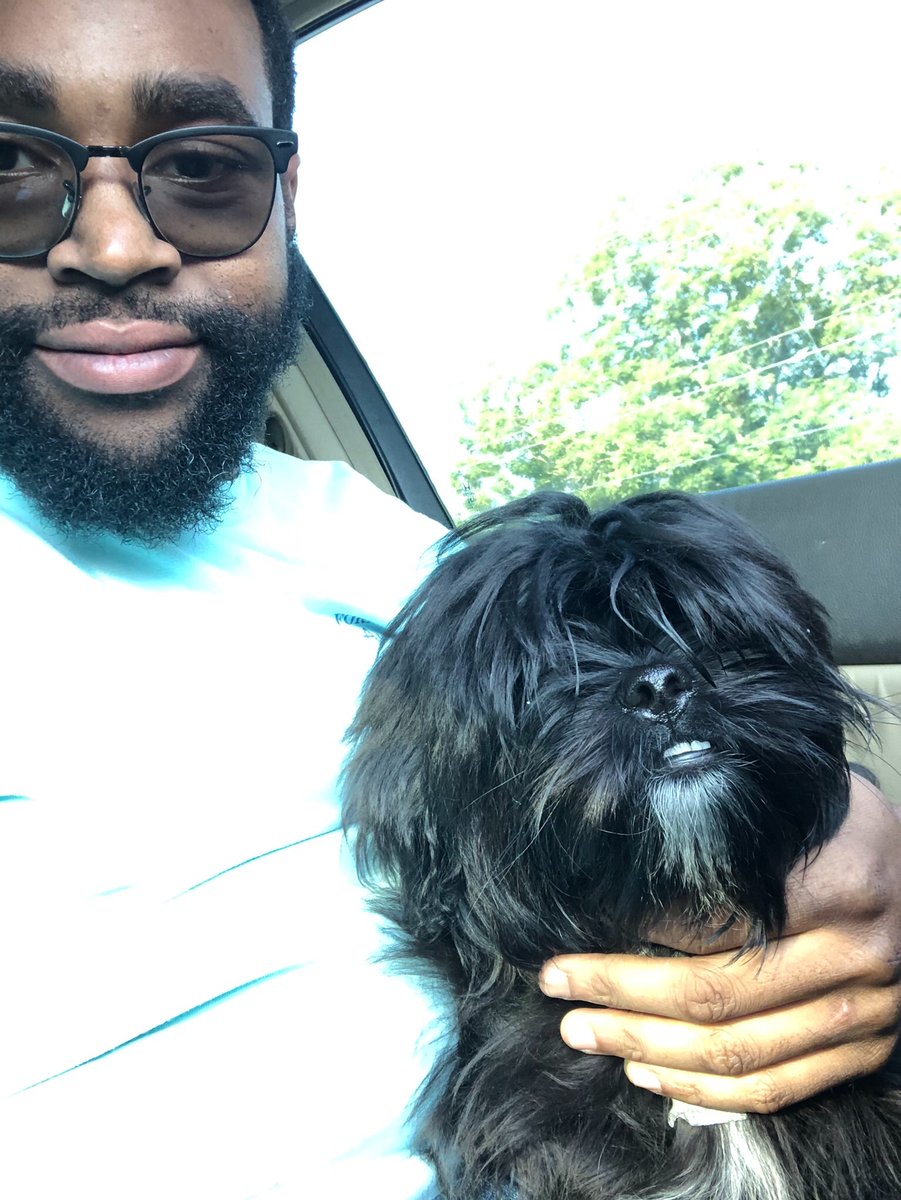 iAm_DaInfluence's tweet photo. #NationalDogDay https://t.co/Ymcb3qPO5E