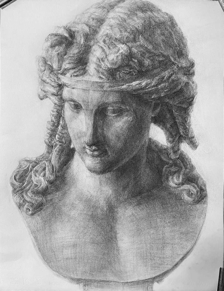 ホリ アリアス胸像 石膏デッサン 美大生 木炭デッサン