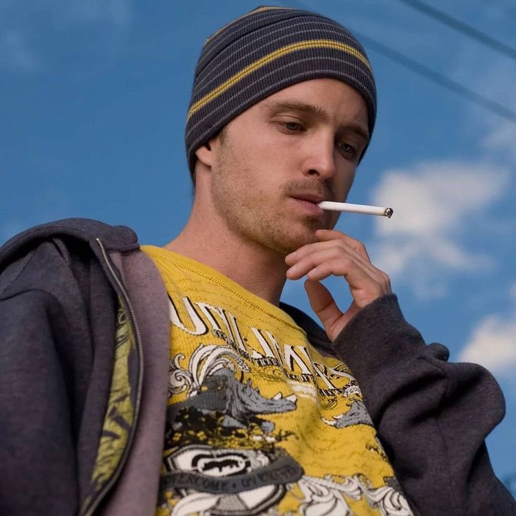 Happy Birthday Aaron paul

Bitchhhhh 