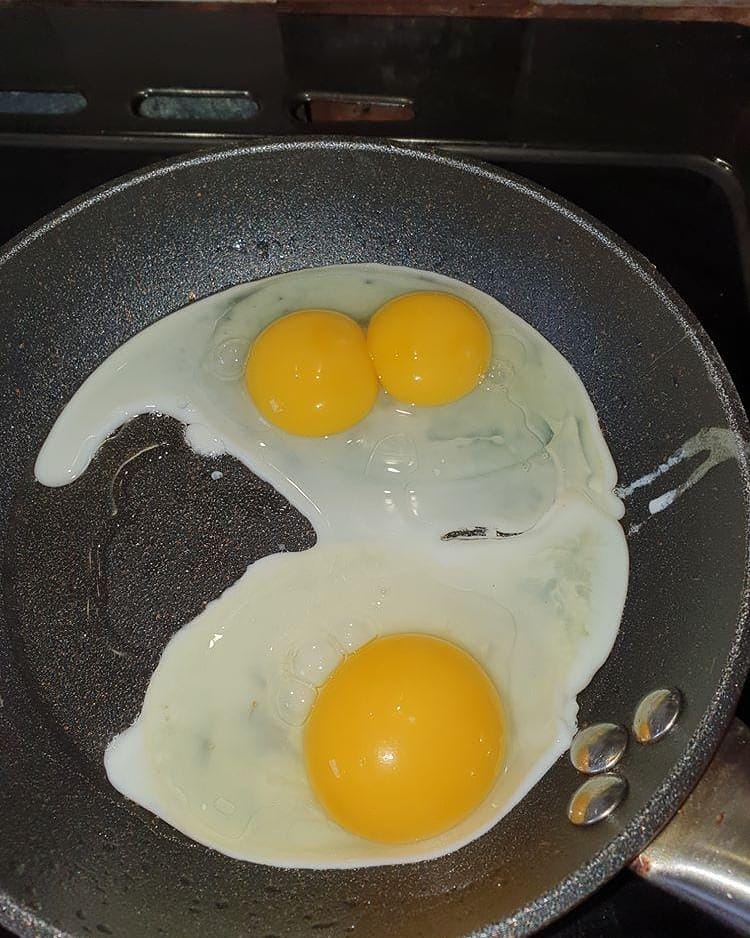 Plas Llanfair tweet media