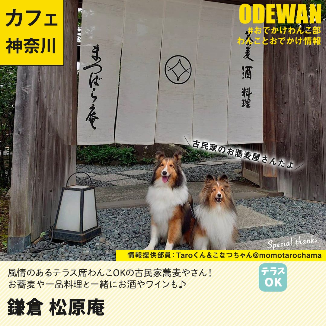 おでかけわんこ部 愛犬とのおでかけ情報 Odewanbu Twitter