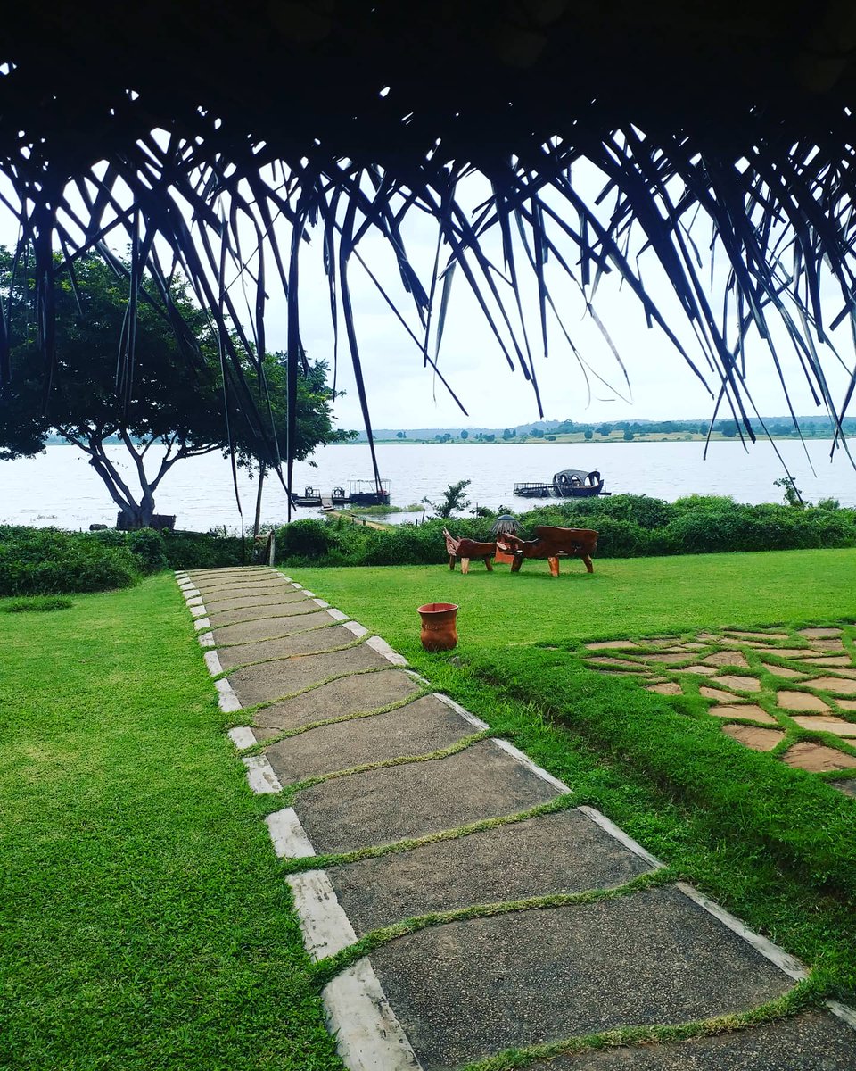 pramodactor1's tweet photo. And the nature never fails 🙋‍♂️😍 #evolvebackresorts kabini 😍😍 https://t.co/L7LOXgoA6Q