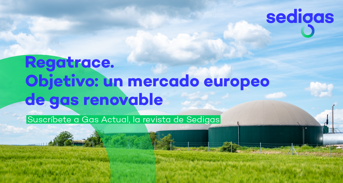 sedigas's tweet photo. El proyecto #Regatrace busca la creación de un mercado europeo del #gasrenovable basado en un sistema eficiente de Garantías de Origen (GdO). Te lo contamos aquí 👉 https://t.co/qQT74P6Ywd #GasActual https://t.co/CtYLpml8PT