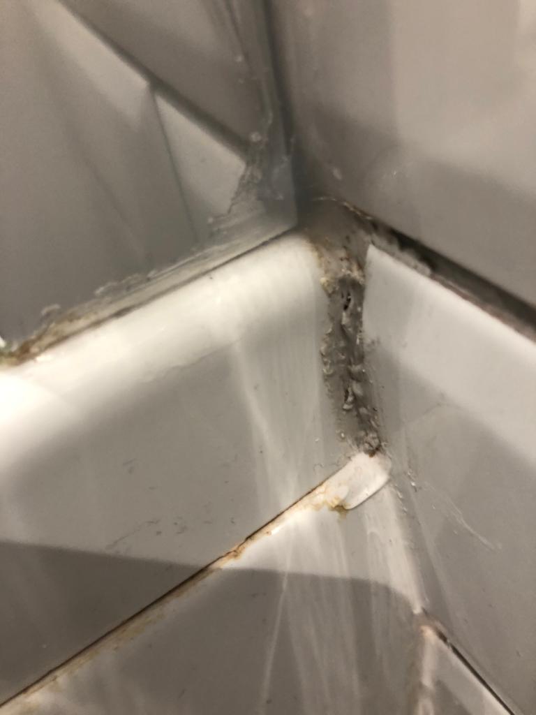 Joe Firth tweet media