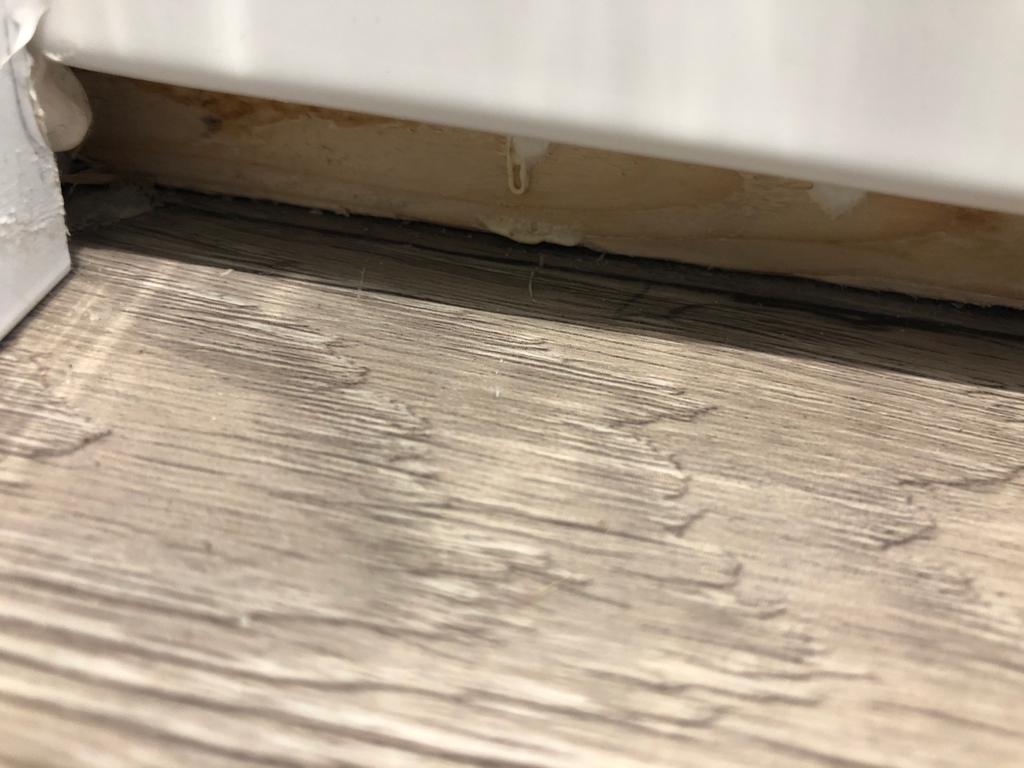 Joe Firth tweet media