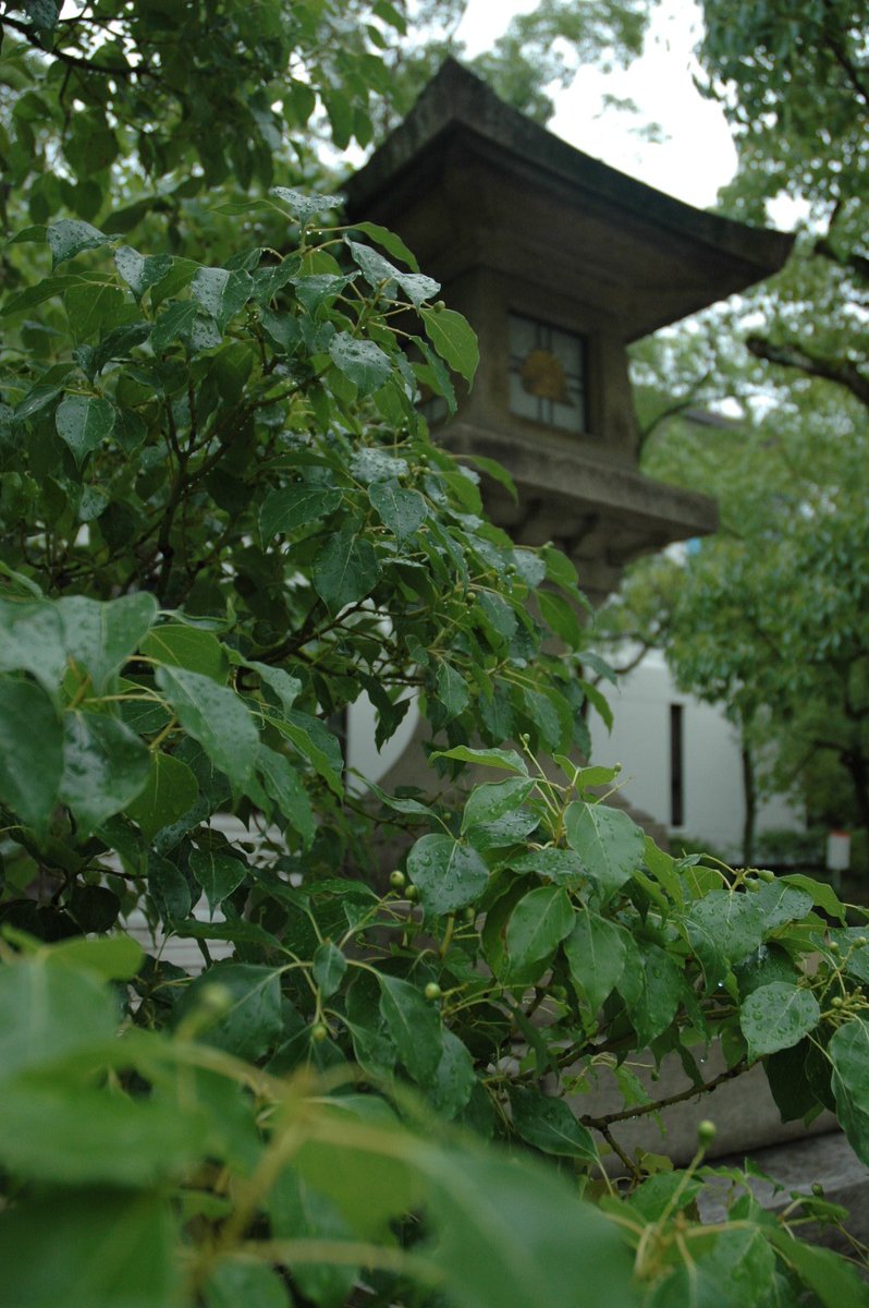 神戸 天気 神戸 天気