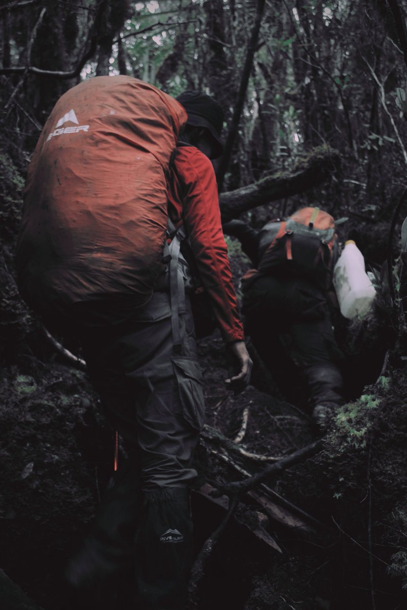 Reynaldo_mth's tweet photo. Ketika Kamu Menginginkan Sesuatu, Semesta Akan Berkonspirasi Membantumu Untuk Meraihnya
.
If : @daude_daus
.
#gunungkatopasa #katopasa #ampana #sulteng #sulawesitengah #centralsulawesi https://t.co/u2sYQBU6o2