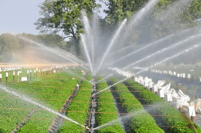 Nigeria's agricultural production is largely dependent on rainfall. This aspect of the food system needs to be sustainable enough to respond to the challenges of climate change. Here are my thoughts:  #Thread #WomenInAg  #Covid19FoodFuture -  @Google