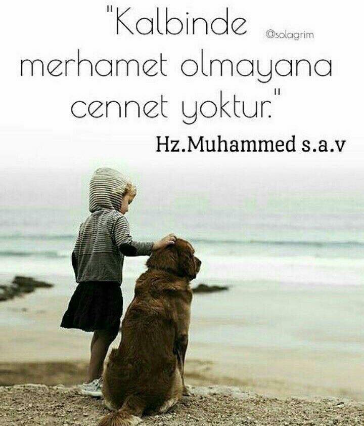 #ŞefaatYaRasulAllah