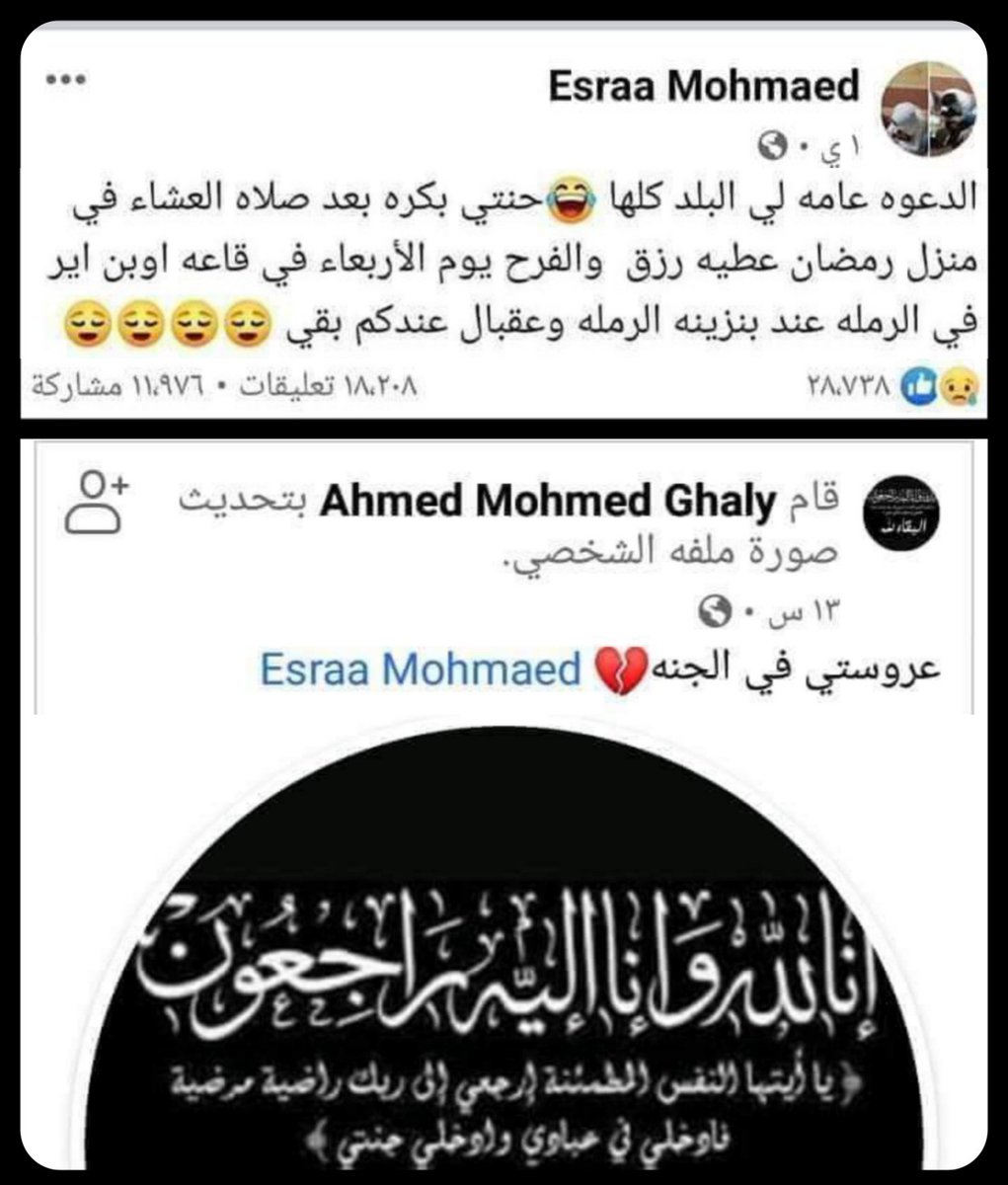 مطلوب مدقق لغوي