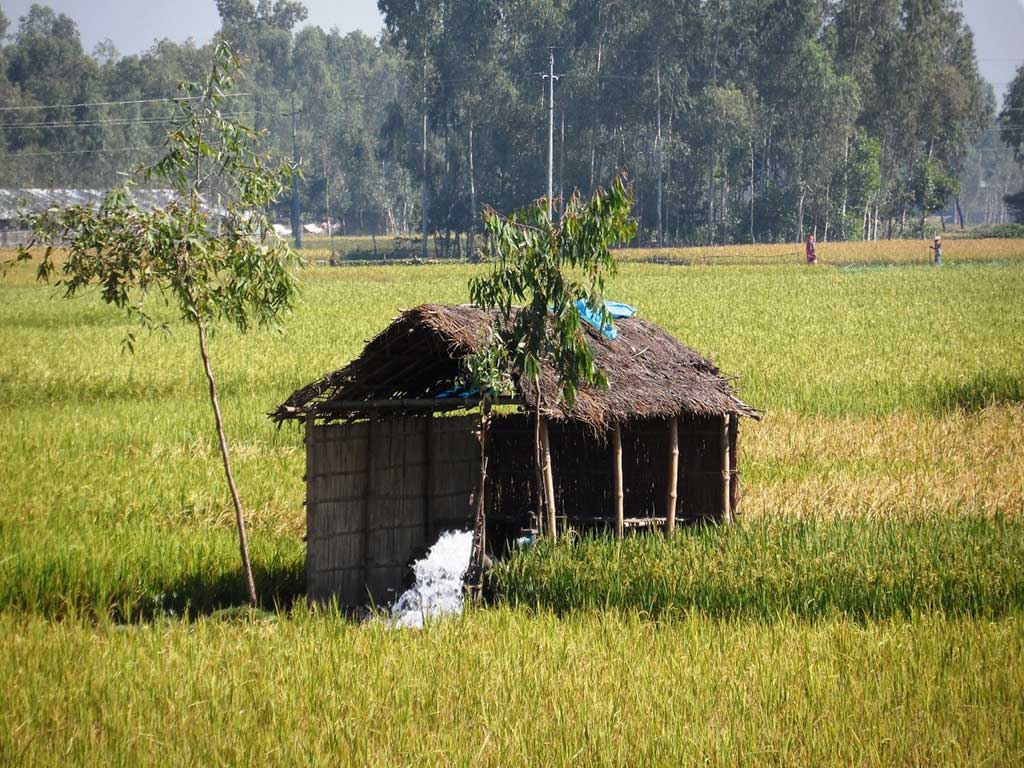 Hafeiz_1's tweet photo. The resilience of groundwater resources to global change; Rainfall extremes provide key to localised water storage.
#ClimateAction
#Climateawakening
 https://t.co/cSCDpo3CPf https://t.co/dawZ1j4JLM