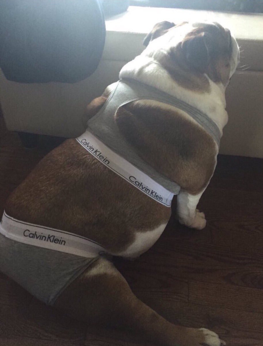 asi me veria con el conjunto de calvin klein