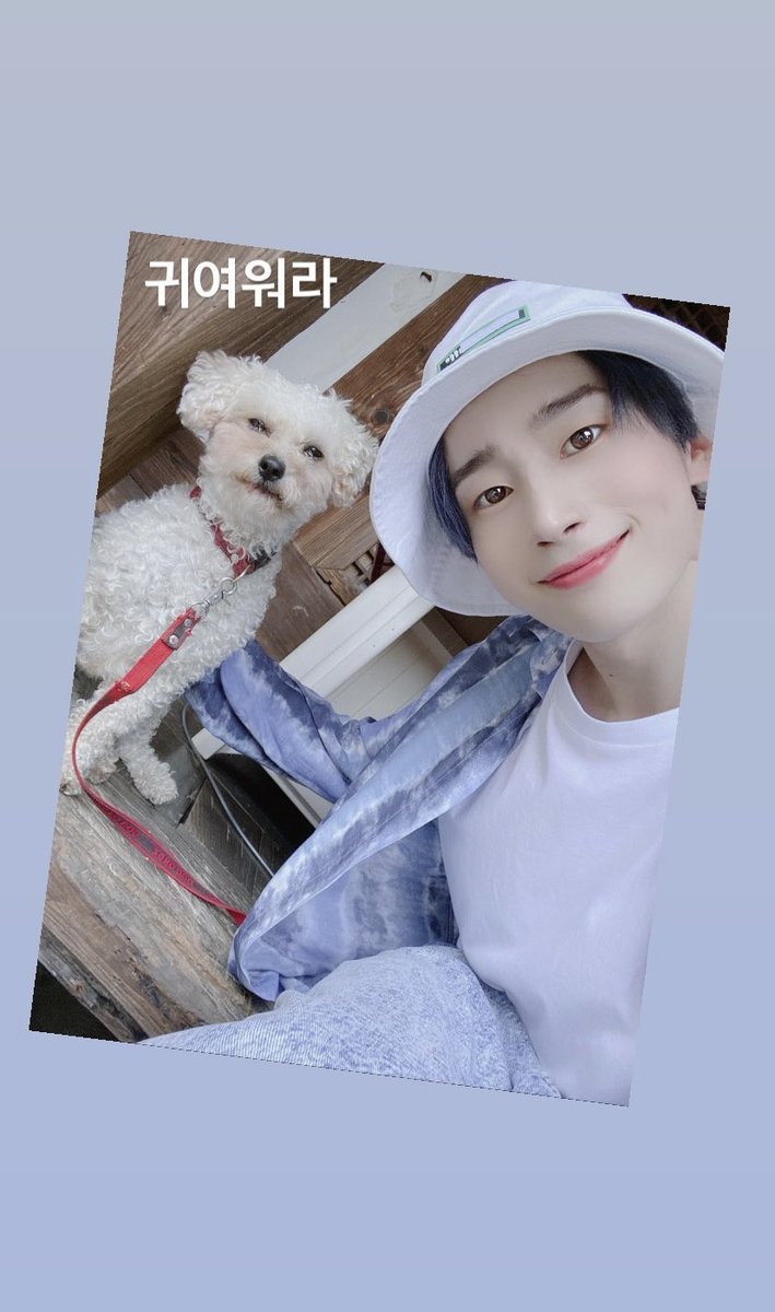 ForHSW94's tweet photo. 한승우 귀여워😭💙🍇
https://t.co/aOIrXSAgeH
#한승우 #승우 #HANSEUNGWOO https://t.co/jSJJY4R9OU