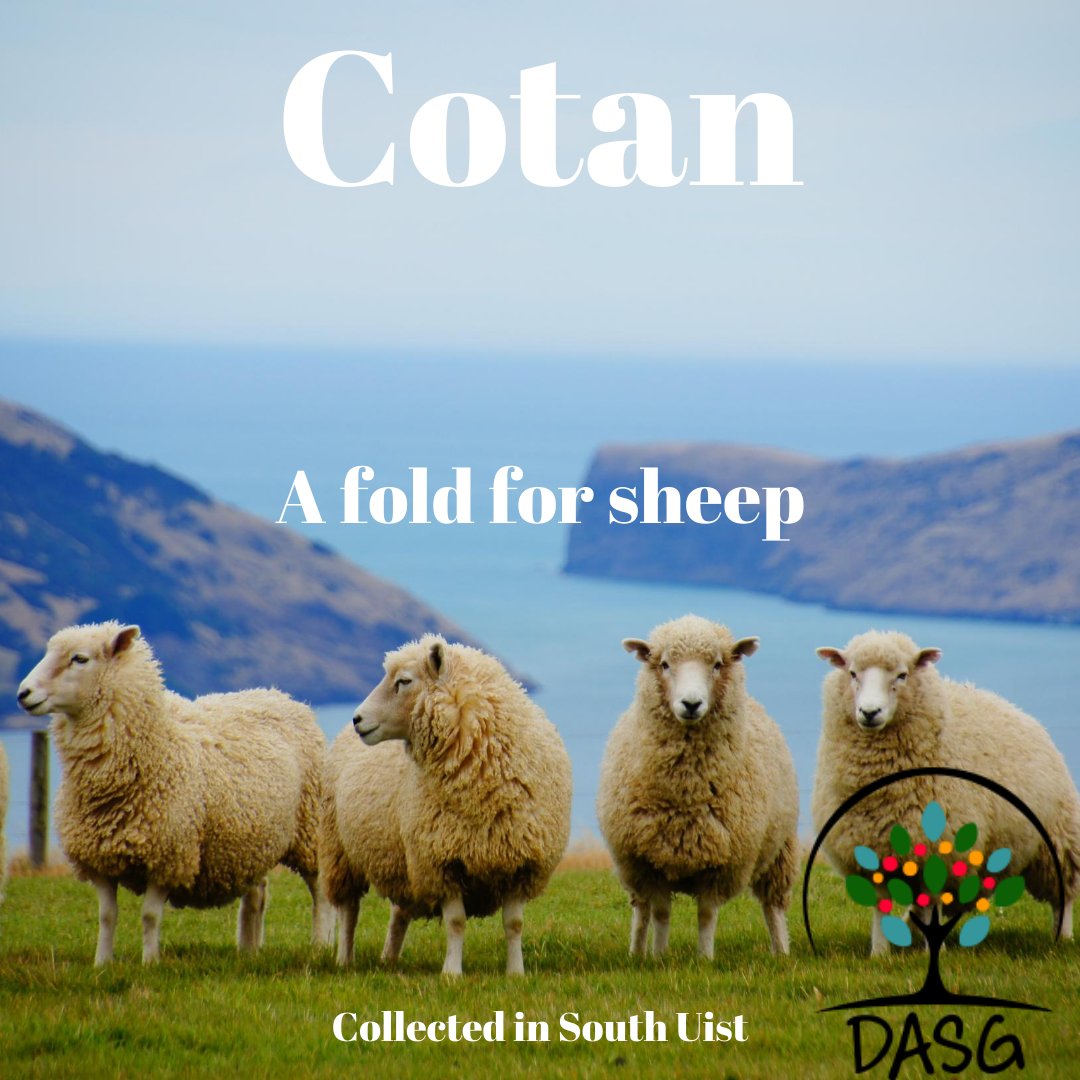 DASG_Glaschu's tweet photo. https://t.co/dPUz7X0N7n
GĂ idhlig #Gaelic #DASG #archive #tasglann #UofG #Archivist #ScotlandsSounds #DigitalArchive #IsMiseGĂ idhlig
#cotan #buaile #cuidh #fold #quoy #pen #enclosure #uan #uain #caorach #caoraich #lamb #lambs #sheep
#UibhistaDeas #SouthUist https://t.co/f2s5V2x6Sr