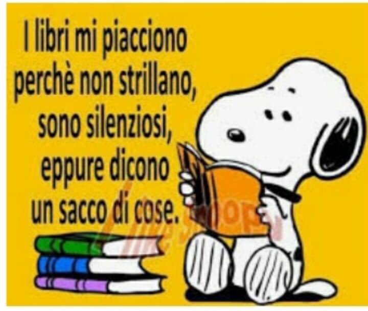 vincenzu72's tweet image. 