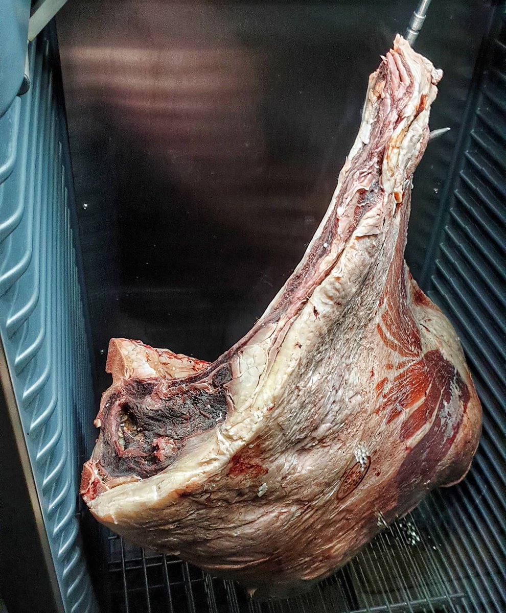 spice_punch's tweet photo. This beast is 50 days aged now, see the difference in colour.
This was 31kg fresh so be interesting to see what the weight is now. Have a few plans for this piece trying some more dry aged experiments.
#spicepunch #dryaged #dryager #clod #crop #shortrib #forerib #butchery #beef https://t.co/lrYeDIuar3