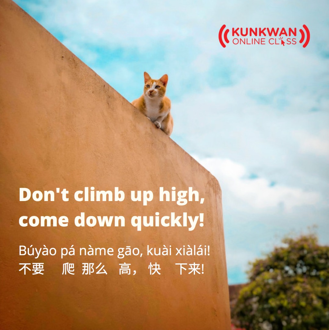 classmandarin's tweet photo. Búyào pá nàme gāo, kuài xiàlái !
不要 爬 那么 高,快 下来!
Don't climb that high, come down quickly!
🐱🏡🐈🏠🐱🏡
Búyào 不要 = Don't
pá 爬 = climb
nàme 那么 = like that
gāo 高 = high
kuài 快 = quickly
xiàlái 下来 = come down
#CatLover
#CatsBehavior
DM me https://t.co/fFxCSA6Qh9 https://t.co/7vReAJujd0