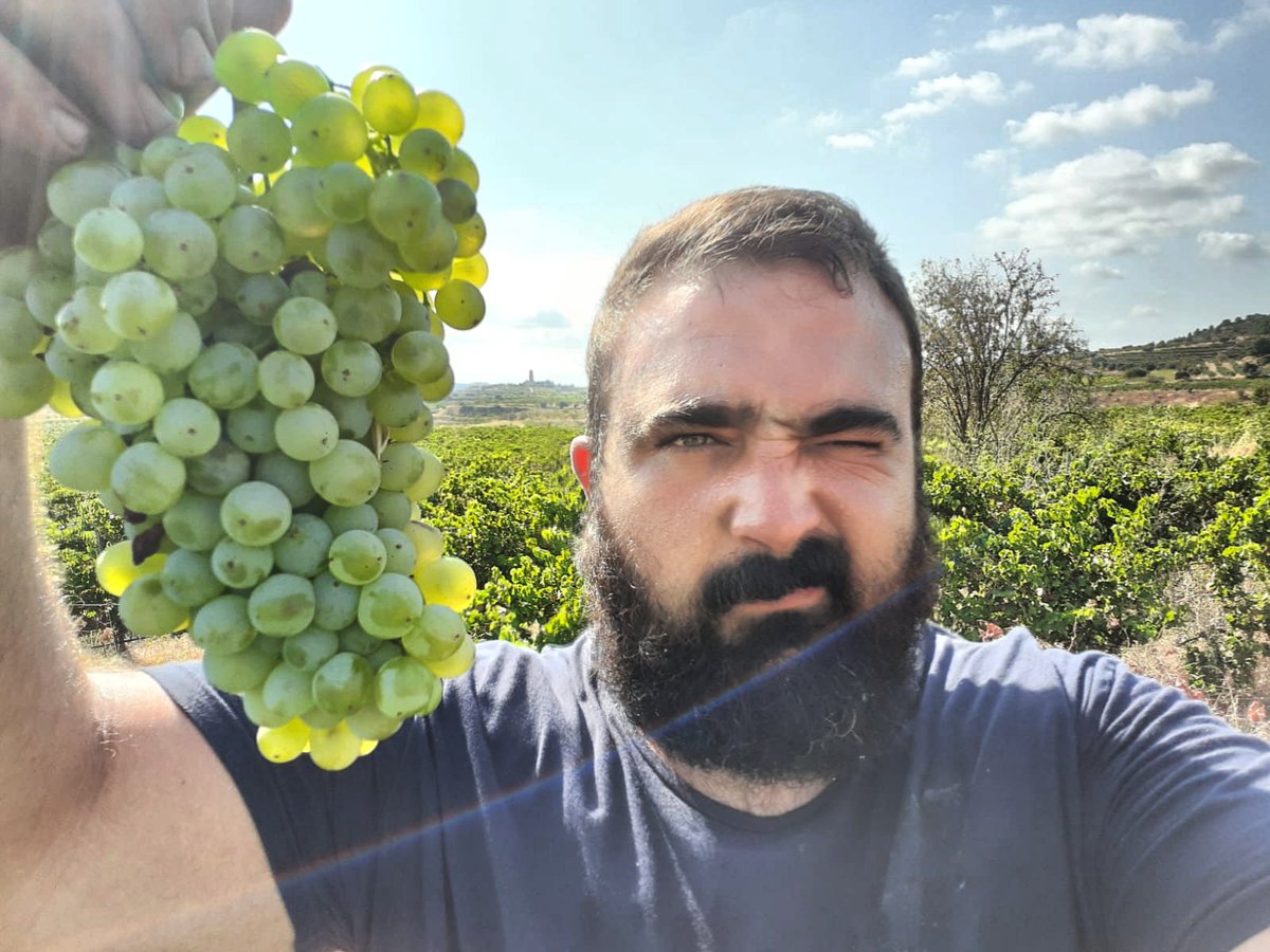 CellerFrisach's tweet photo. Lo Mano GrapesMan! Orgull Pagés! Seguim!💪! Esllomada a Tope!! #esllomada2020 #VernatxaBlanca #FincaLoQuart #AbrunetBrodels #AbrunetBlanc #SòLsViuS #VinSViuS #OrgaNicFarminG #SolSulet #Agost #HollyDaYs #Naturel #NaturalmentVi #MoreGrapesMyFriend #LoViDeCorBerA #TerritoriVernatxa https://t.co/bQ0dxZRLd2