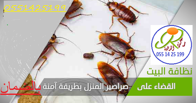 شركة رش مبيدات بالرياض
شركة رش مبيد بالرياض
شركة رش مبيدات شرق الرياض
شركة مبيدات حشرية
شركة رش دفان بالرياض
شركة بخ حشرات بالرياض