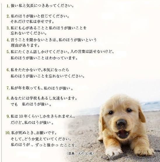 卯月由羽 در توییتر 私のほうがずっと強い犬の十戒コピペすき