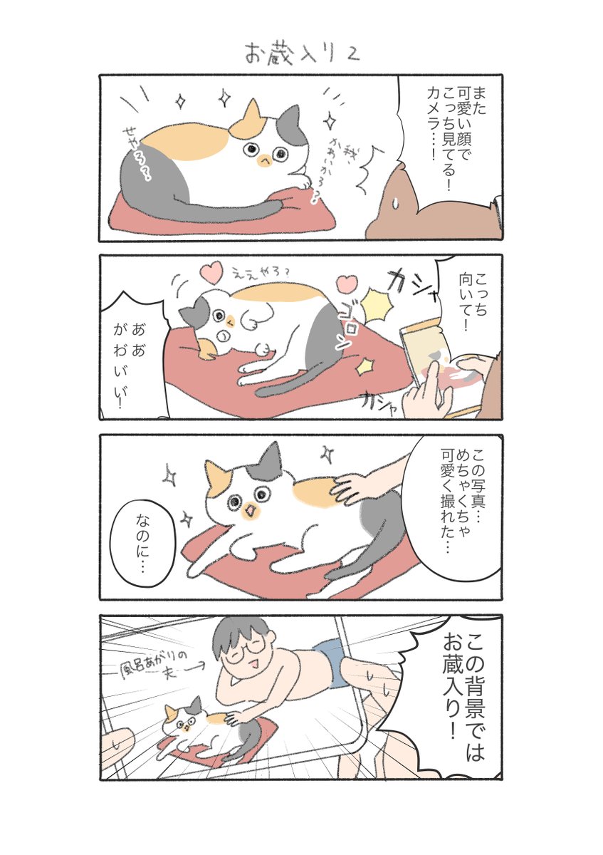 三毛猫しらす漫画

可愛い写真が撮れた時に限って、こう。 