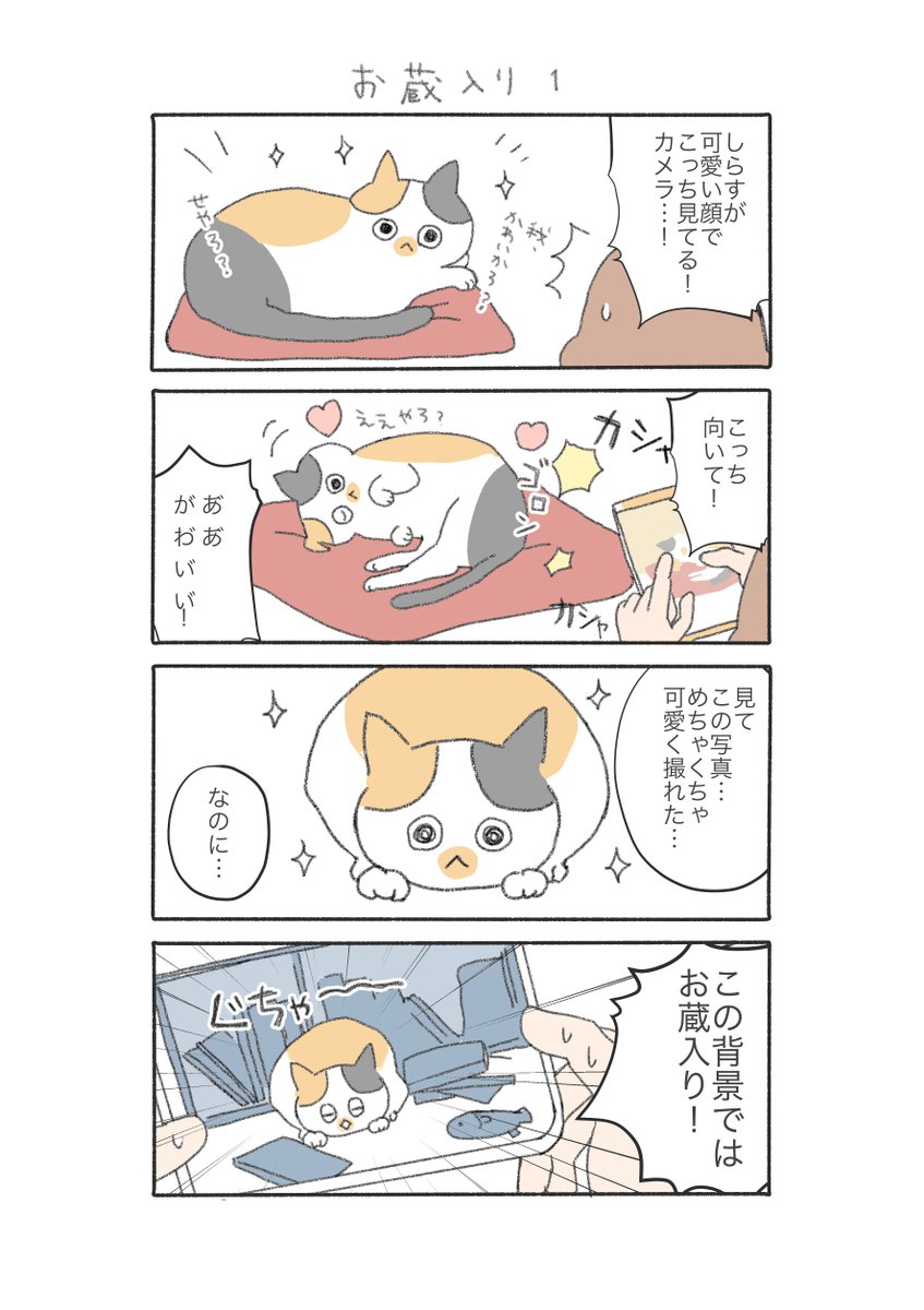 三毛猫しらす漫画

可愛い写真が撮れた時に限って、こう。 