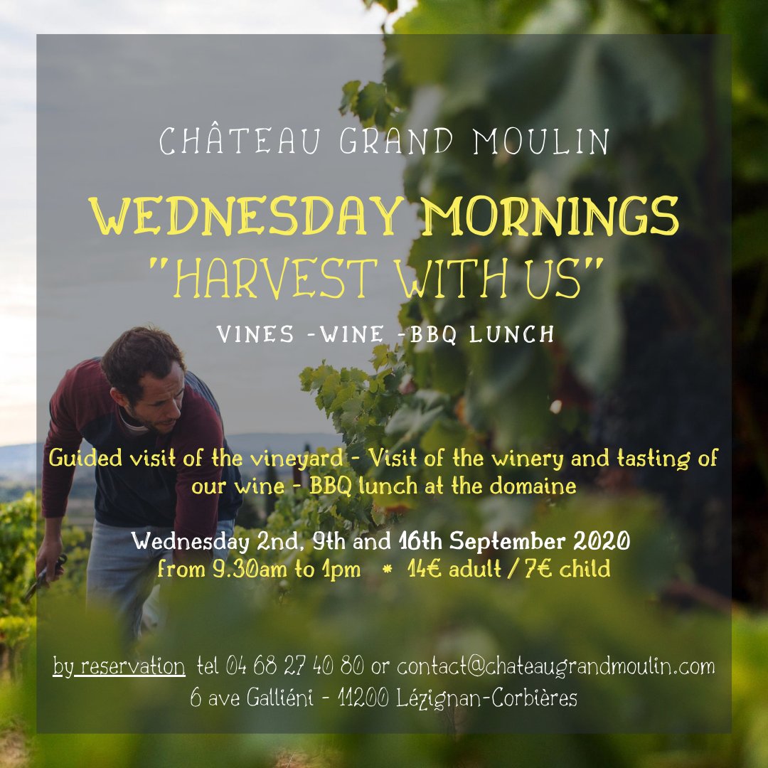 #vivezlesvendanges #harvestwithus #chateaugrandmoulin #corbieres #visitevignoble #vigneron #languedoc #oenotourisme #lesmercredis