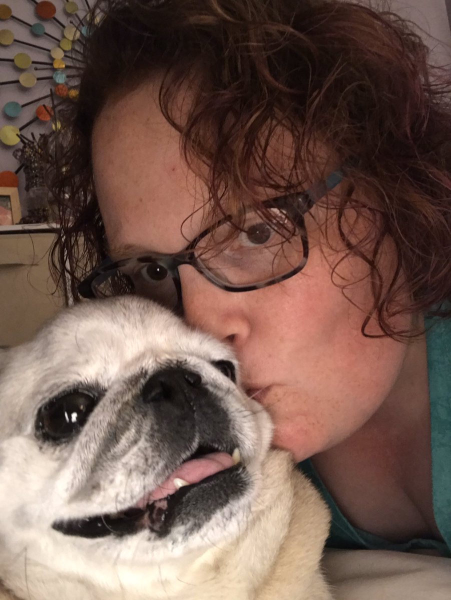 PetuniaMaePug's tweet photo. Good morning ☀️ All, I am still hanging in there. I got a nice card from the vet/ with paw prints.🐾❤️ Today, I celebrate 🎉 my 4 yrs of sobriety from benzodiazepines. Thankfully I had my bff Daisy Mae by my side to do it. Love you all! 😘 https://t.co/9JHF2GIm5M