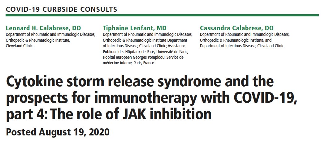 TiphaineLft's tweet photo. 🌪️ Prospects on Cytokine storm by @LCalabreseDO @TiphaineLft @CCalabreseDO
🔥 Part 4: JAK inhibition
🚨 JAKs are everywhere. Promising path
https://t.co/v5NtBAyhhN
#TeamWork @CleClinicMD https://t.co/1dOTpzJEPe