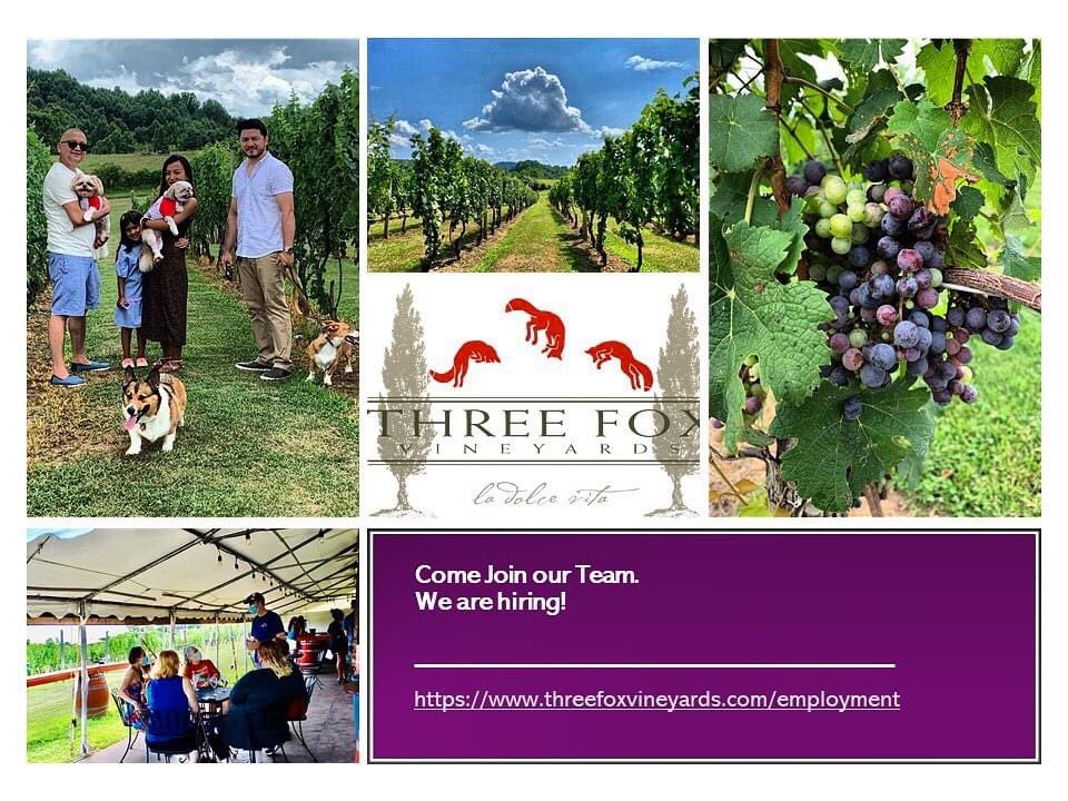 Fauquier Wine on Twitter "3FoxVineyards is hiring! "We are looking