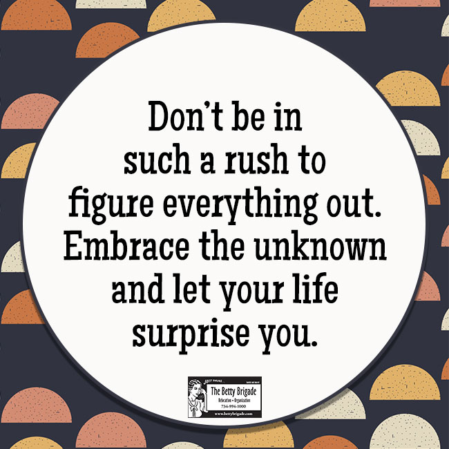 "Don't be in such a rush to figure everything out. Embrace the unknown and let your life surprise you."

#inspiration #motivation