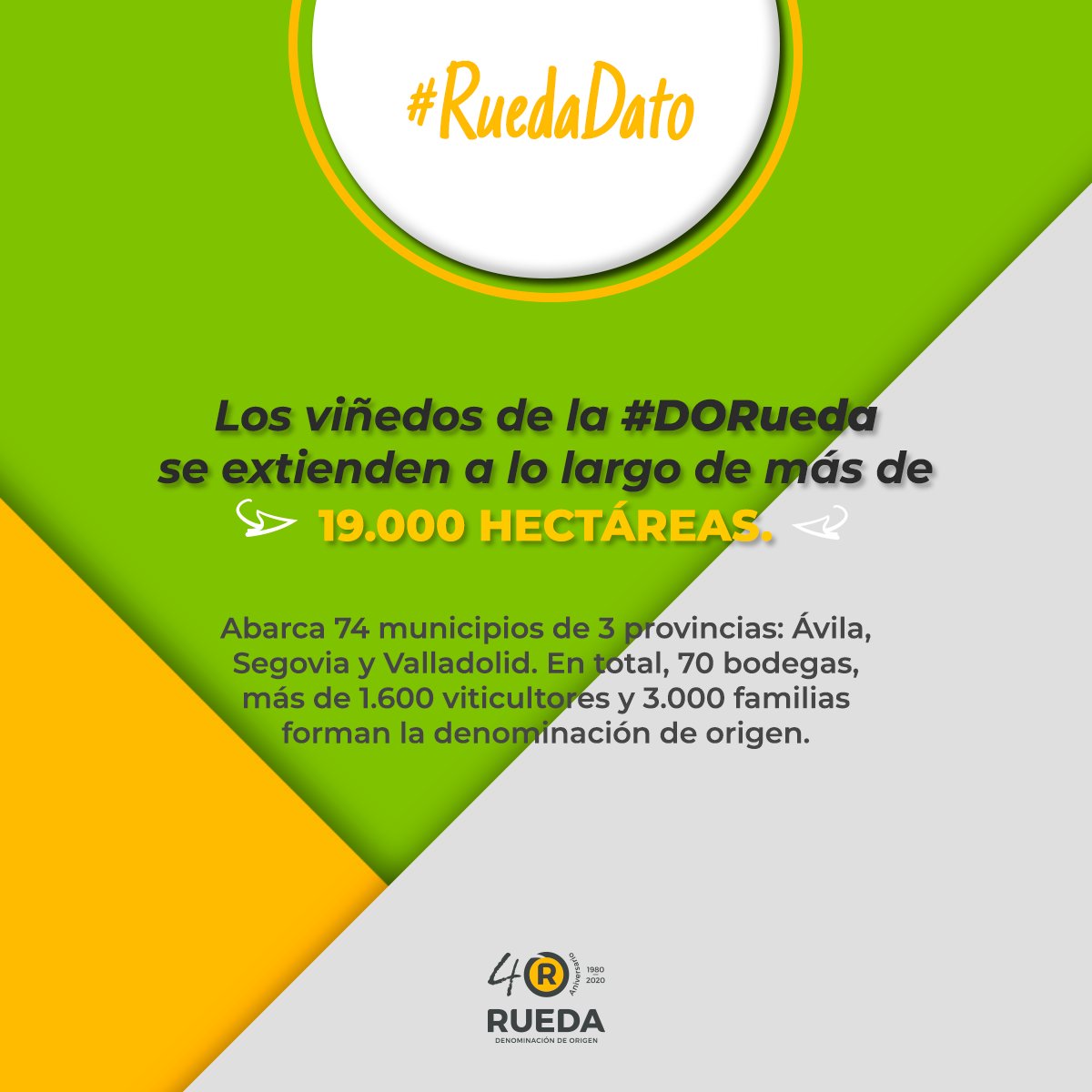 La #DORueda es una gran familia formada por miles de personas que hacen posible que el mejor vino blanco llegue a tu copa 💚

#RuedaDato 👇🏻
