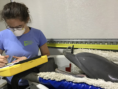 SeaWorldCaresCA's tweet photo. We were happy to temporarily welcome Donley and Rain, two dolphins, to our facility as the #CZULightningFire continues to threaten the Central Coast region and forced the evacuation of @ucsc's Long Marine Laboratory last Thursday. https://t.co/6H4pdFWIBV @TMMC @MontereyA https://t.co/wdaPFsinvE