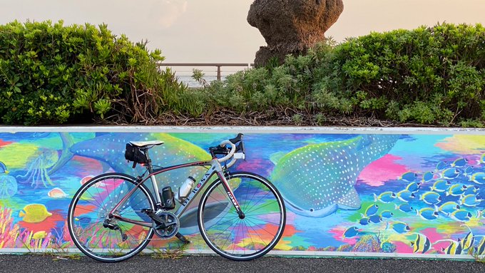 髪の長さ別 ロードバイク女性の髪型まとめ方 ヘアセットのコツ Ayaさいくる